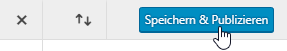 Speichern im WordPress Customizer